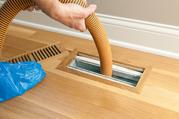 Best Air Vent Cleaning Services  in Bellevue, WI