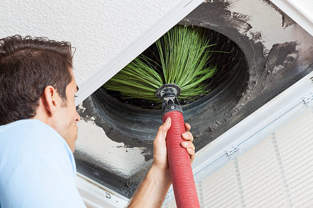 Best Home Air Vent Cleaning  in Bellevue, WI